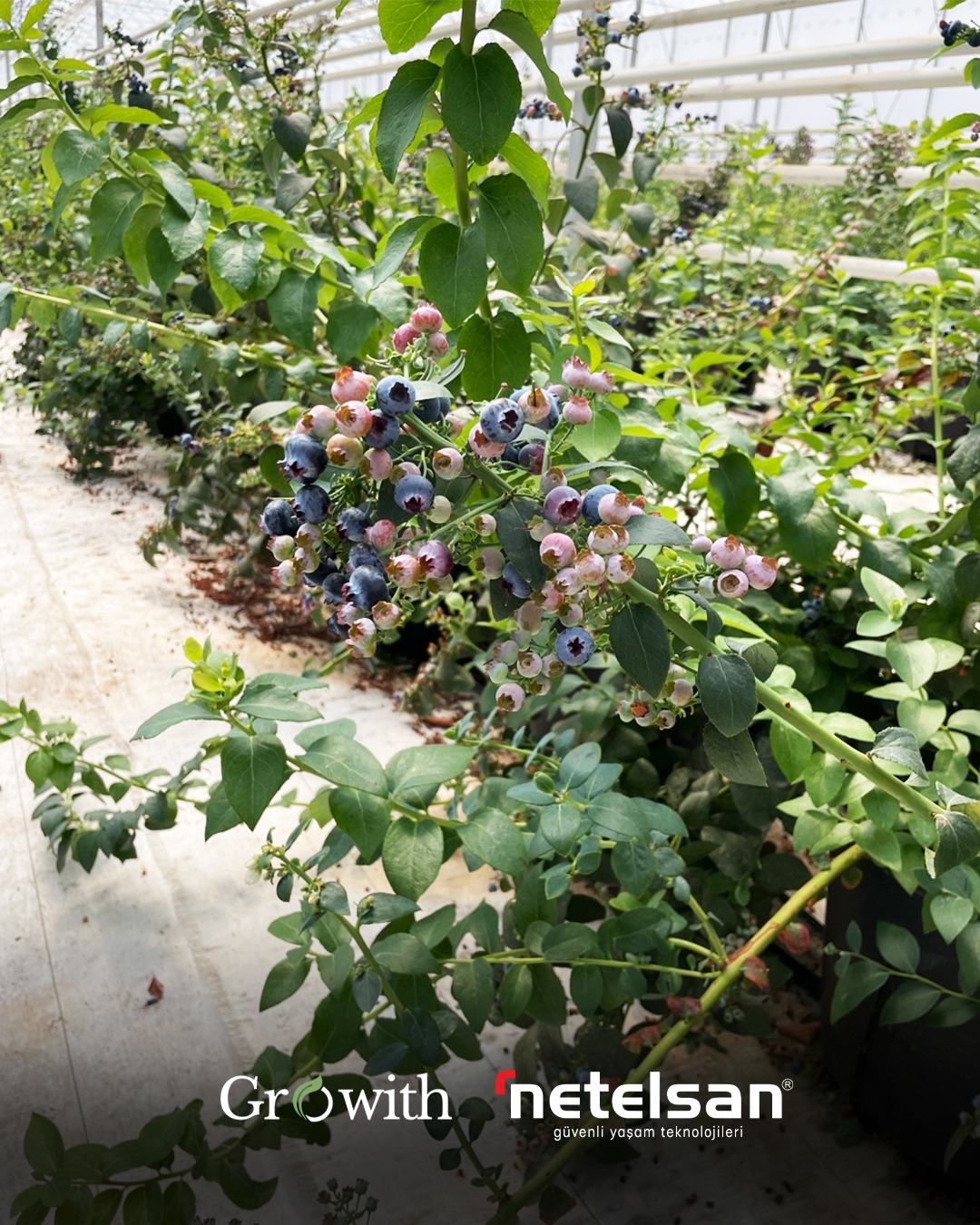 ef9aeec3-a258-455f-b865-c3a2cf229c22